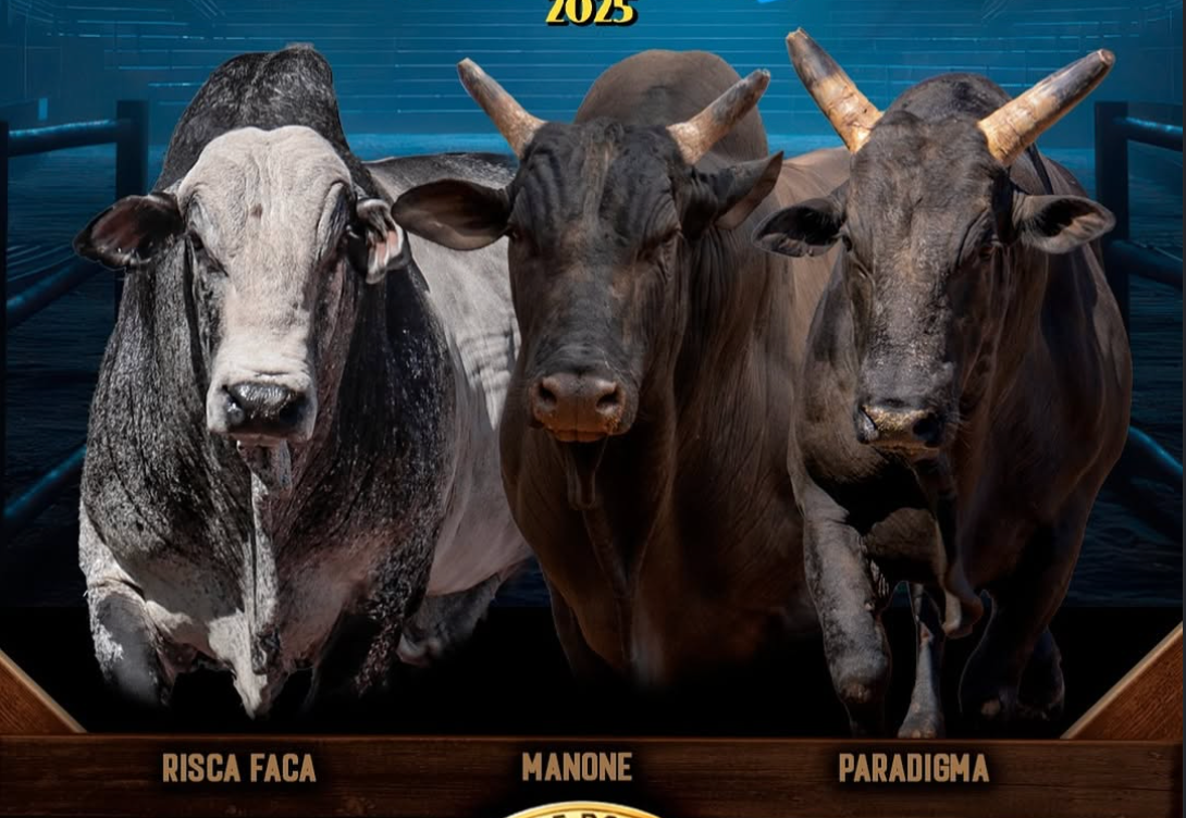 40ª Expoagro Goiatuba - A maior festa do interior de Goiás! | Etapa ACR | Goiatuba-GO | 23 a 27 de julho